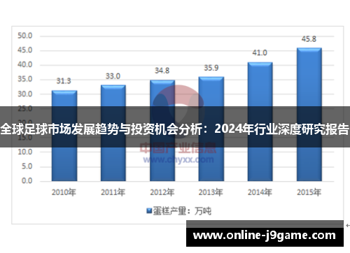 全球足球市场发展趋势与投资机会分析：2024年行业深度研究报告