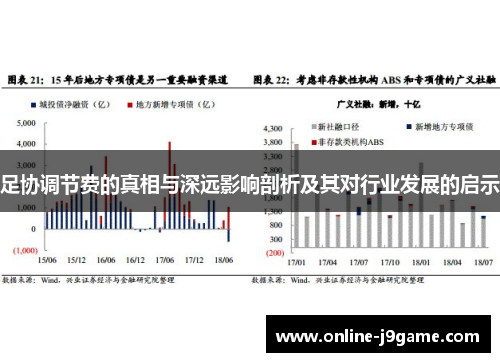 足协调节费的真相与深远影响剖析及其对行业发展的启示