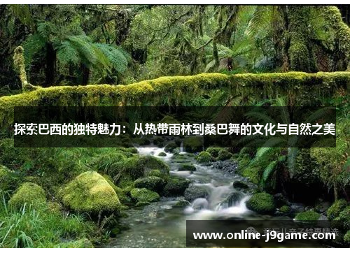 探索巴西的独特魅力：从热带雨林到桑巴舞的文化与自然之美