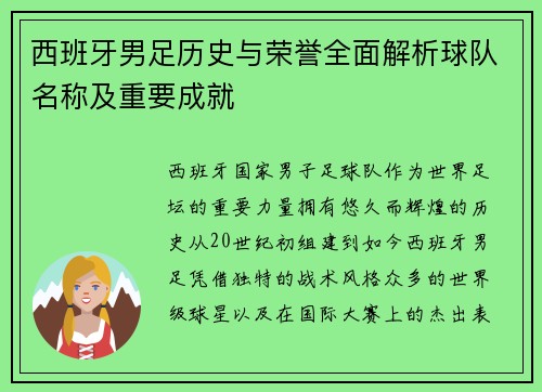 西班牙男足历史与荣誉全面解析球队名称及重要成就