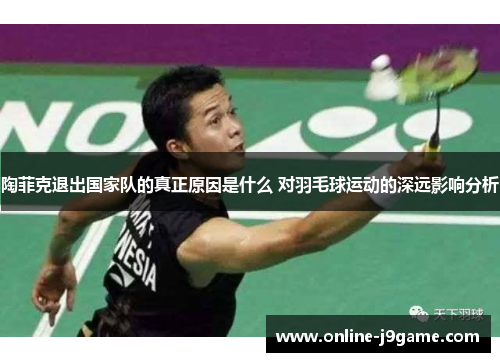 陶菲克退出国家队的真正原因是什么 对羽毛球运动的深远影响分析 陶菲克退出国家队的真正原因是什么 对羽毛球运动的深远影响分析