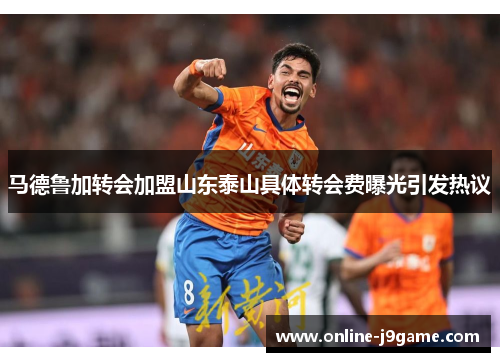马德鲁加转会加盟山东泰山具体转会费曝光引发热议