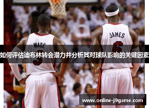 如何评估迪布林转会潜力并分析其对球队影响的关键因素