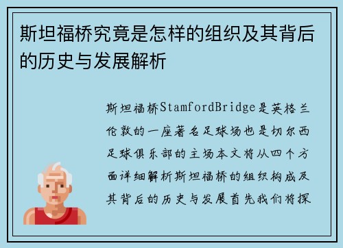 斯坦福桥究竟是怎样的组织及其背后的历史与发展解析